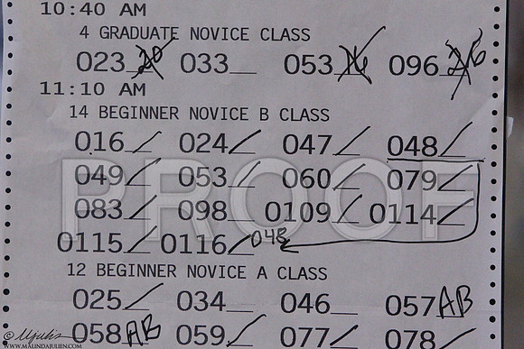BegNovBSat-5485LR