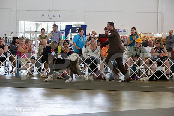 _JJ_1722-DallasJul2014-HR3