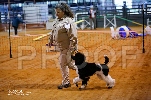 BISpup-5013-MrshllDec13-HR