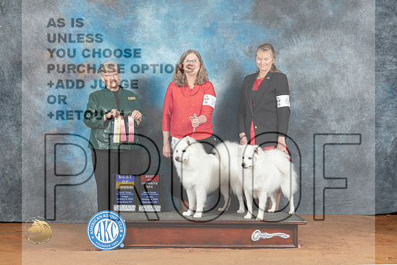 American Eskimo #19 #6 Fri BOB BOS Judge Mary Napper_MJ_4789_NRKC2023_HR3