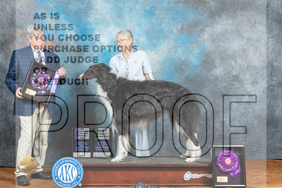 Borzoi #11 Fri WDBBENCh Judge Jon Steele_MJ_4724_NRKC2023_HR3
