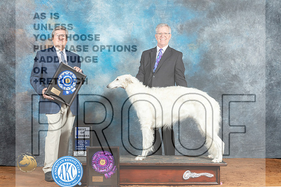 Borzoi #14 Fri BOWWB Judge Jon Steele_MJ_4738_NRKC2023_HR3