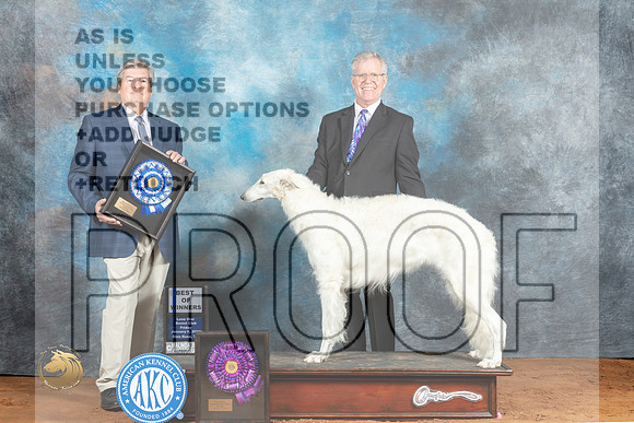 Borzoi #14 Fri BOWWB Judge Jon Steele_MJ_4739_NRKC2023_HR3