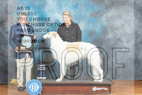Borzoi #15 Fri SD Judge Jon Steele_MJ_4733_NRKC2023_HR3