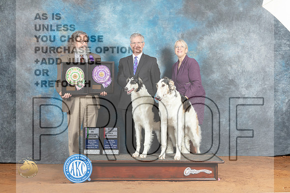 Borzoi #19 &24 BISSweeps RWD Judge Jon Steele Judge John Sazy_MJ_4766_NRKC2023_HR3