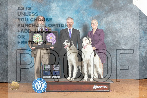 Borzoi #19 &24 BISSweeps RWD Judge Jon Steele Judge John Sazy_MJ_4761_NRKC2023_HR3