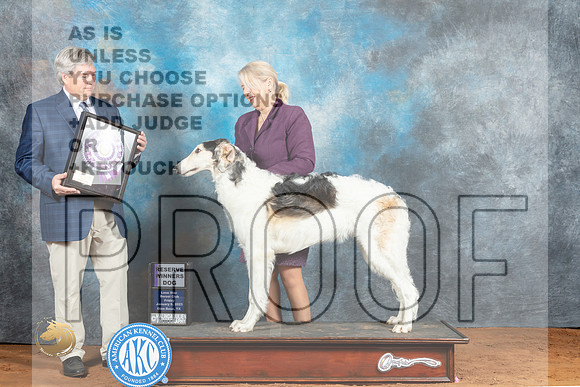 Borzoi #19 Fri BOSSweeps RWD Judge Jon Steele_MJ_4747_NRKC2023_HR3
