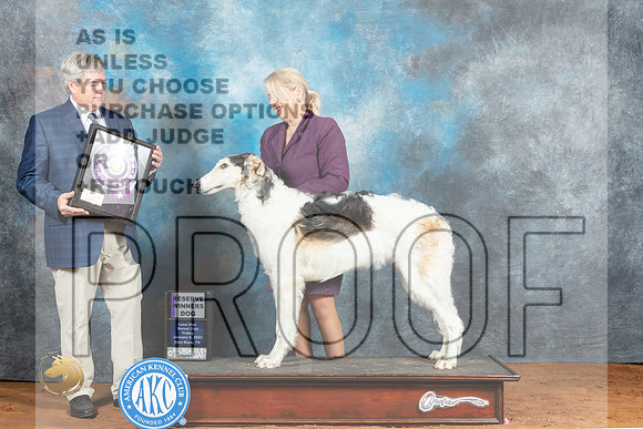 Borzoi #19 Fri BOSSweeps RWD Judge Jon Steele_MJ_4748_NRKC2023_HR3
