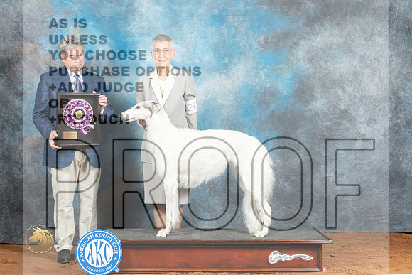 Borzoi #26 Fri AOM Judge Jon Steele_MJ_4720_NRKC2023_HR3