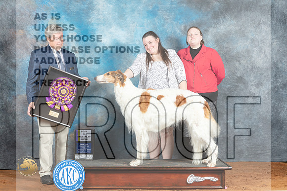 Borzoi #6 FRi BISS Judge Jon Steele_MJ_4728_NRKC2023_HR3