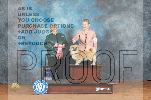 Tibetan Spaniel #11 Fri SG1 Judge Mary Napper_MJ_4795_NRKC2023_HR3