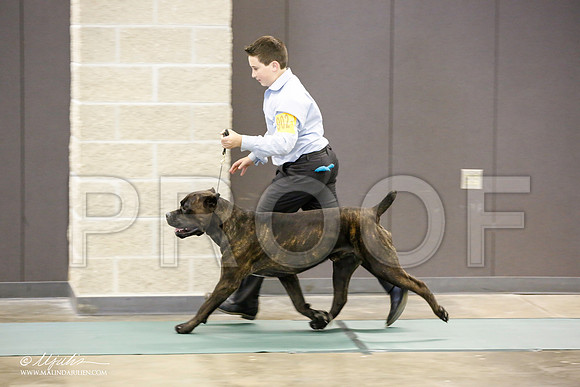 _JN_1380-BeltonJan2015-HR3