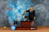Boston Terrier #28 Fri WBCH Judge Molly Martin