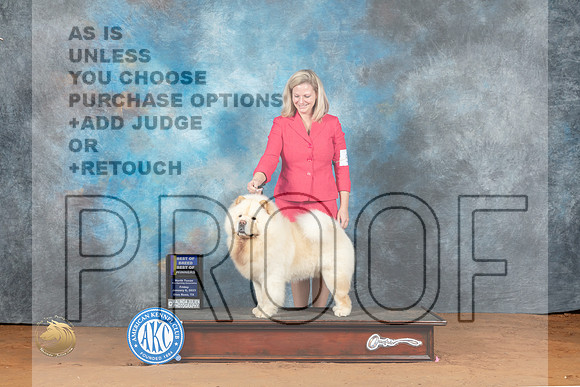 Chow #5 Fri BOWBOB Judge Deborah Barrett_MJ_4844_NRKC2023_HR3