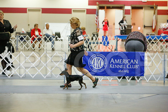_JJ_0459-AmarilloSept2014-HR3