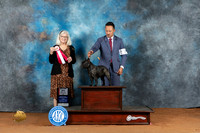 French Bulldog #44 Fri BOS Judge Molly Martin