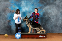 German Shepherd Dog #11 Fri BOW Judge Candee Foss