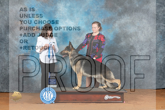 German Shepherd Dog #11 Fri BOW Judge Candee Foss_MJ_4920_NRKC2023_HR3