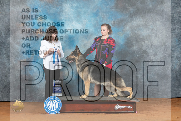 German Shepherd Dog #11 Fri BOW Judge Candee Foss_MJ_4921_NRKC2023_HR3