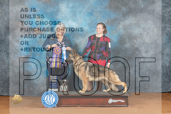 German Shepherd Dog #30 Fri BOBBOW Judge Janet Warner_MJ_5052_NRKC2023_HR3