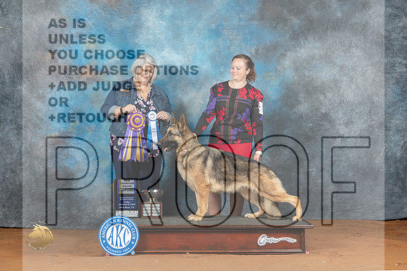 German Shepherd Dog #30 Fri BOBBOW Judge Janet Warner_MJ_5054_NRKC2023_HR3