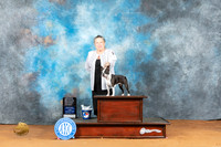 Boston Terrier #10 Fri OHG1 Judge Deborah Barrett