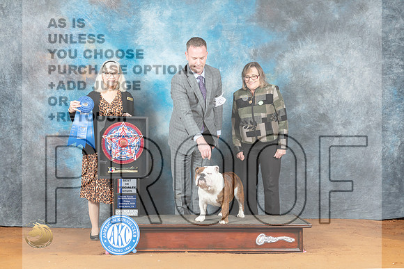 Bulldog #26 Fri BISS Judge Molly Martin_MJ_5177_NRKC2023_HR3