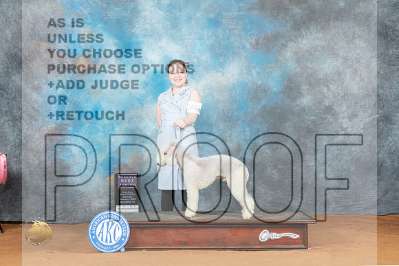 Bedlington Terrier #J402 Sat RBJr Judge Judy Wade_MJ_5561_NRKC2023_HR3