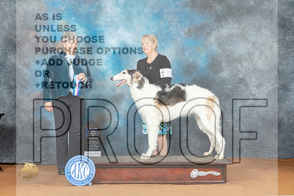 Borzoi #19 Sat BOW Judge Lori Nelson_MJ_5605_NRKC2023_HR3