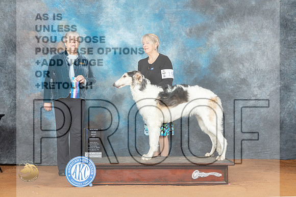 Borzoi #19 Sat BOW Judge Lori Nelson_MJ_5606_NRKC2023_HR3