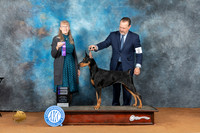 Doberman Pinscher #26 Sat WB Judge Nancy Simmons