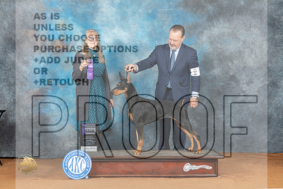 Doberman Pinscher #26 Sat WB Judge Nancy Simmons_MJ_5619_NRKC2023_HR3