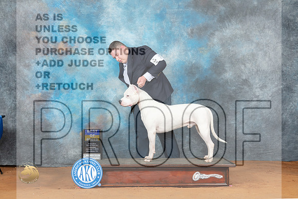 Dogo #7 Sat BOB Judge John Lucas_MJ_5410_NRKC2023_HR3
