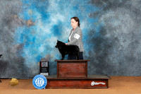 Schipperke #12 Sat BOS Judge Nancy Simmons