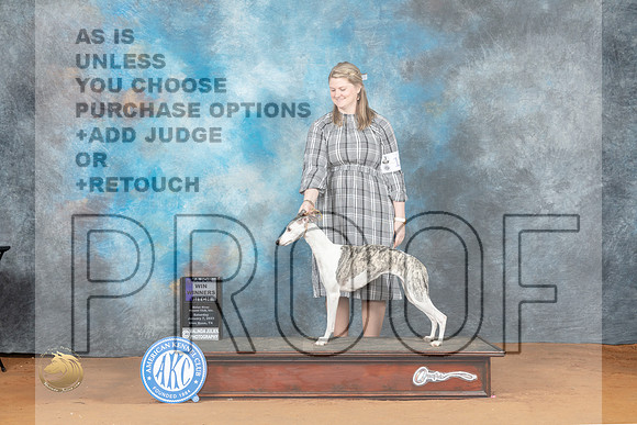 Whippet #12 Sat WB Judge Ronald Horn_MJ_5592_NRKC2023_HR3