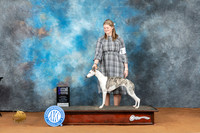 Whippet #12 Sat WB Judge Ronald Horn