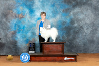 American Eskimo Dog #5 Sat WDBOWMCh Judge Rodney Merry