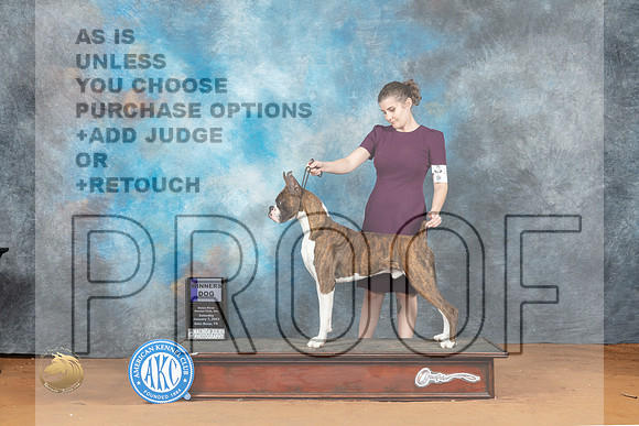 Boxer #5 Sat WD Judge Nancy Griego_MJ_5940_NRKC2023_HR3