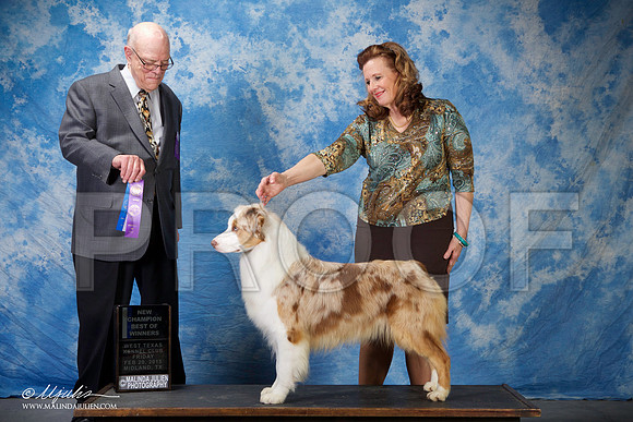 SS2_0674-BeltonJan2015IABCA-HR3