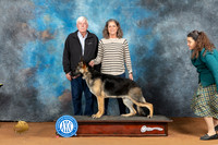 German Shepherd Dog #5 Sat RWD Judge Steve Keating