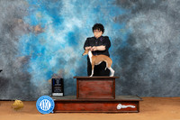 Italian Greyhound #14 Sat BOWM Judge Azalea Alvarez