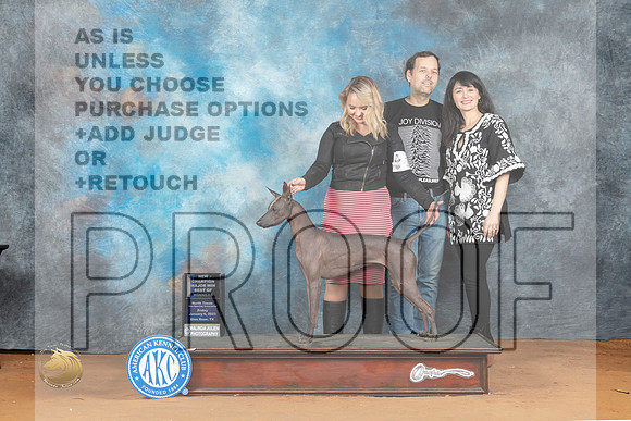 Xolo #8 Fri BOWCh Judge Molly Martin_MJ_5921_NRKC2023_HR3