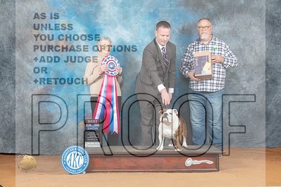 Buldog #26 Sat BIS Judge Laurie Telfair_MJ_6375_NRKC2023_HR3