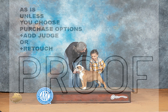 Bulldog Bubbles_MJ_6265_NRKC2023_HR3