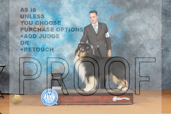 Collie Rough #5 Sata G3 Judge Don Gill_MJ_6232_NRKC2023_HR3