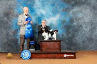 English Toy #5 Sat G1 Judge Ronald Horn