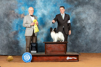 Papillon #15 Sat G3 Judge Ronald Horn