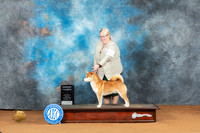 Shiba #25 Sat G4 Judge Ronald Horn