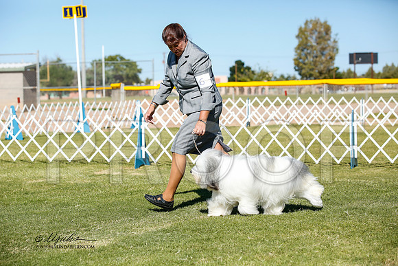 _JJ_2638-AlamogordoOct2014-HR3