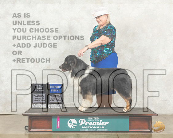 Australian Shepherd #136 Sat TD G1 Judge Jeanne Heger__MJ_8877_Premier_2022_HR3